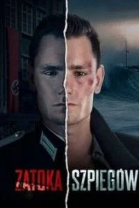 Шпионский залив